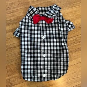 Dog Button Down outfit